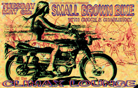 Small Brown Bike