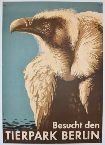Zoo Berlin - Vulture - 1965
