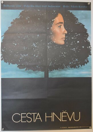 Bulgarian Movie Poster -Cesta Hnevu - 1972